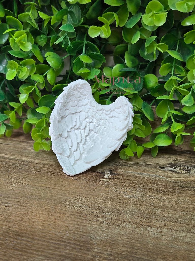 plaster wings