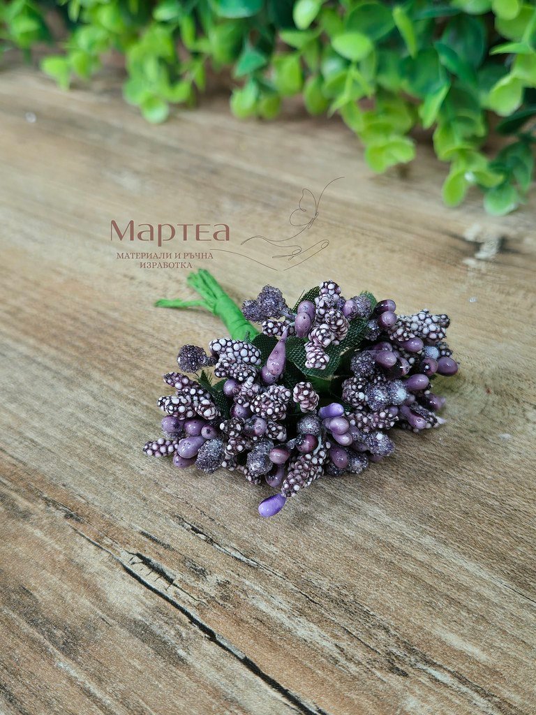 Тичинки - Тъмно лилаво