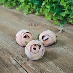 Божур чашка - капучино