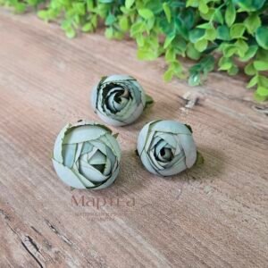 Божур чашка - резеда