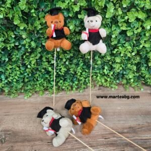 Мече на клечка - "дипломиране"